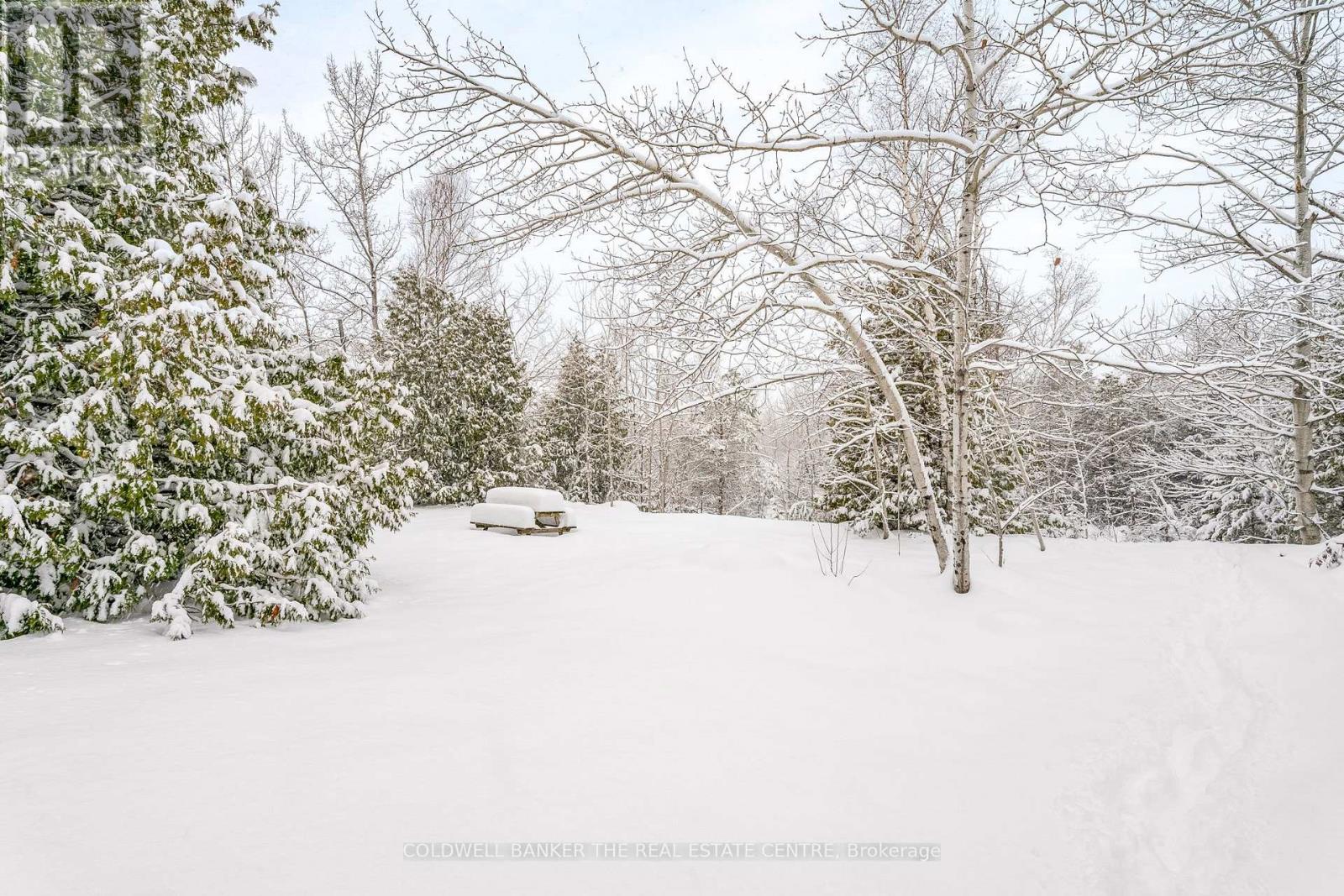 829 Memorial Avenue, Orillia, Ontario L3V 0T7 - Photo 35 - S12629192