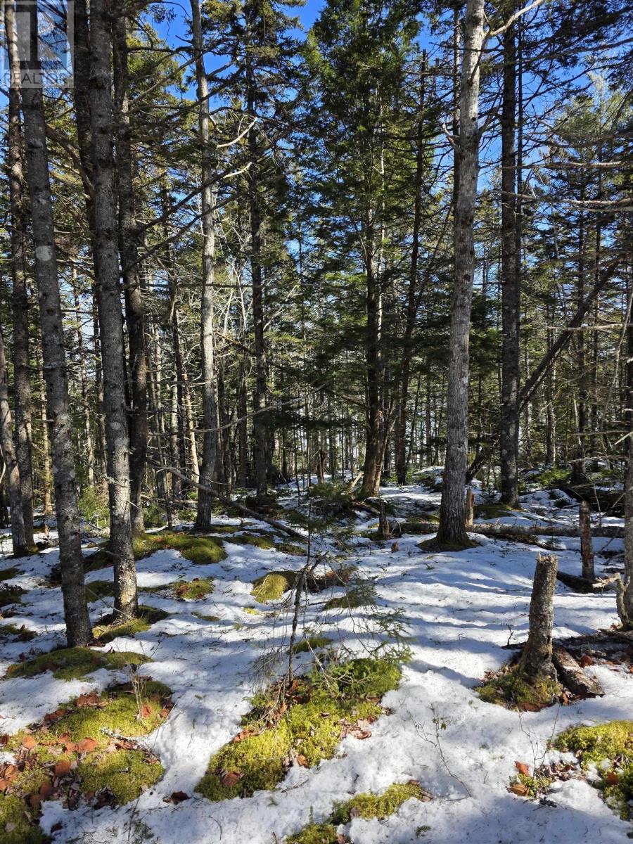 Lot 14 Island View Drive, Middlewood, Nova Scotia  B4V 6J2 - Photo 3 - 202504151