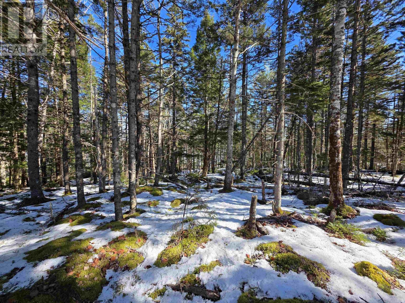 Lot 14 Island View Drive, Middlewood, Nova Scotia  B4V 6J2 - Photo 4 - 202504151