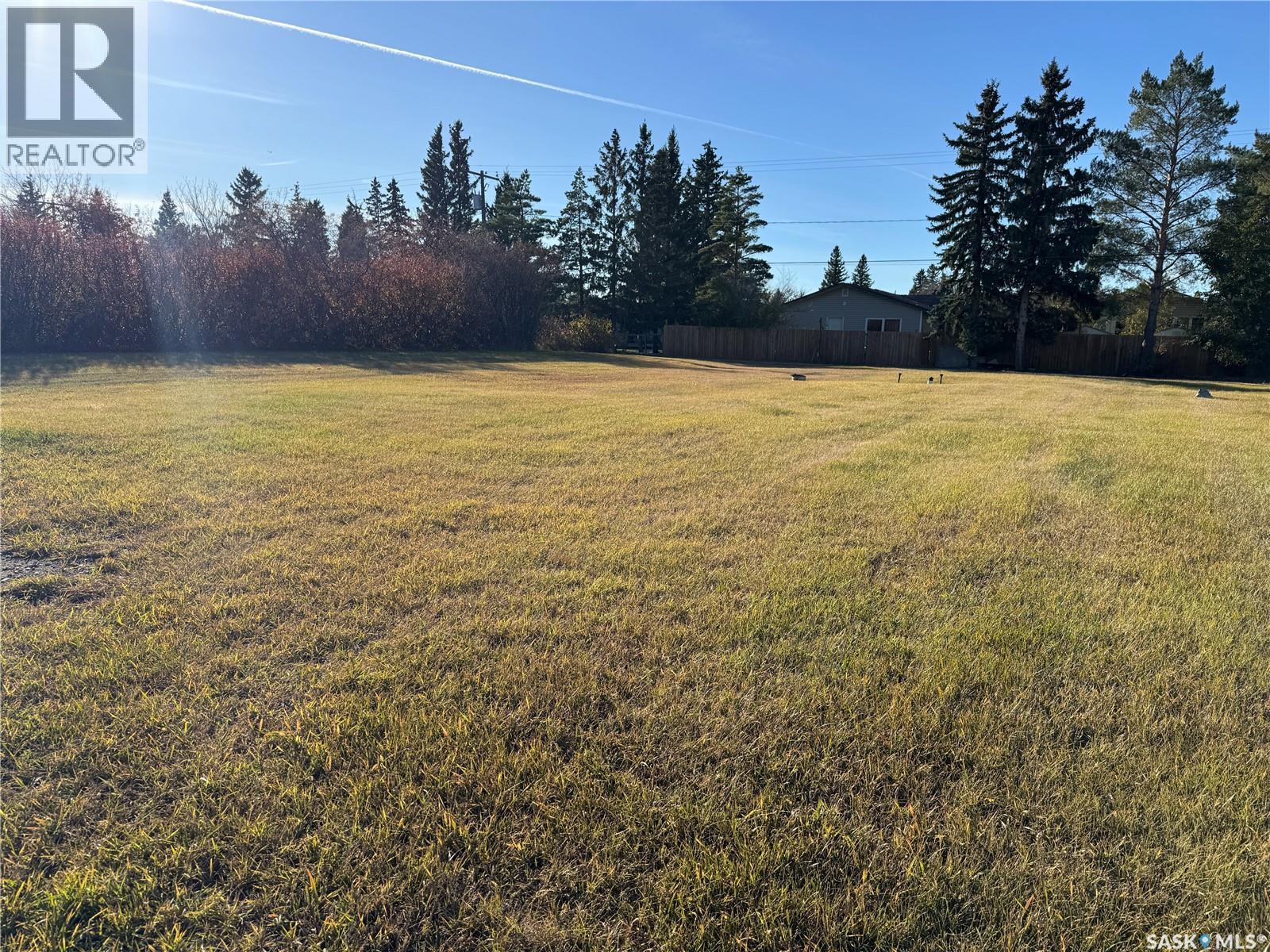 315 Arthur Street, Cut Knife, Saskatchewan  S0M 0N0 - Photo 2 - SK025378