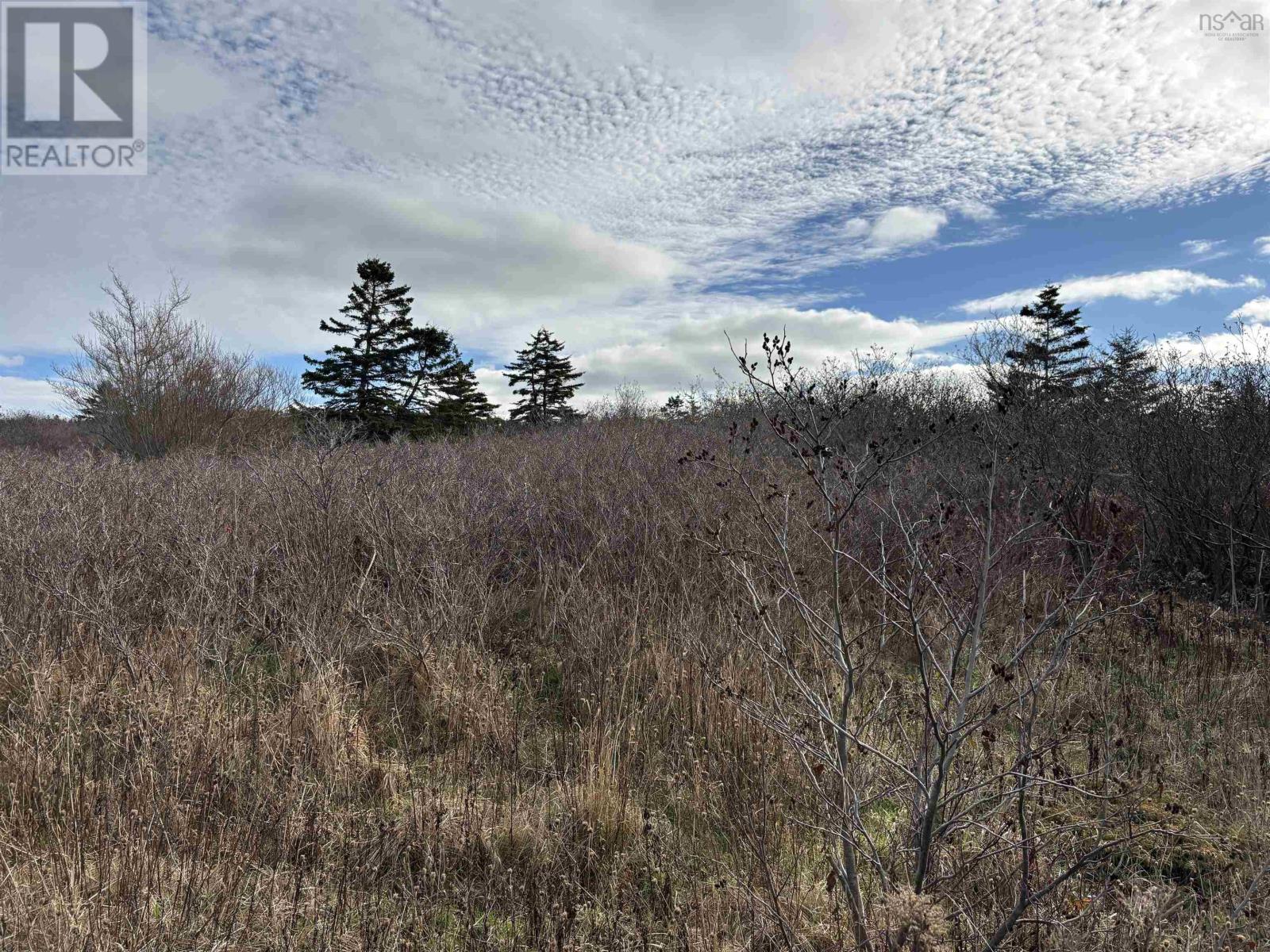 Land Overcove Road, Freeport, Nova Scotia  B0V 1B0 - Photo 4 - 202528569