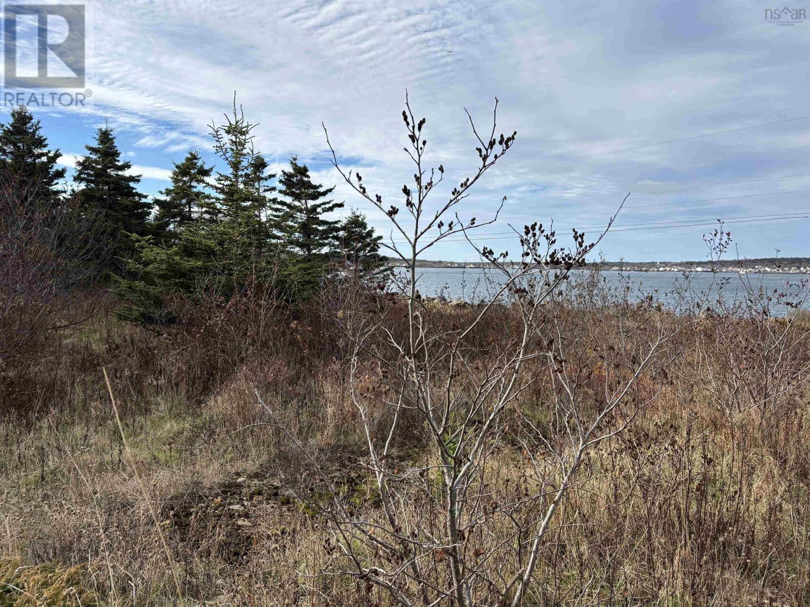 Land Overcove Road, Freeport, Nova Scotia  B0V 1B0 - Photo 6 - 202528569