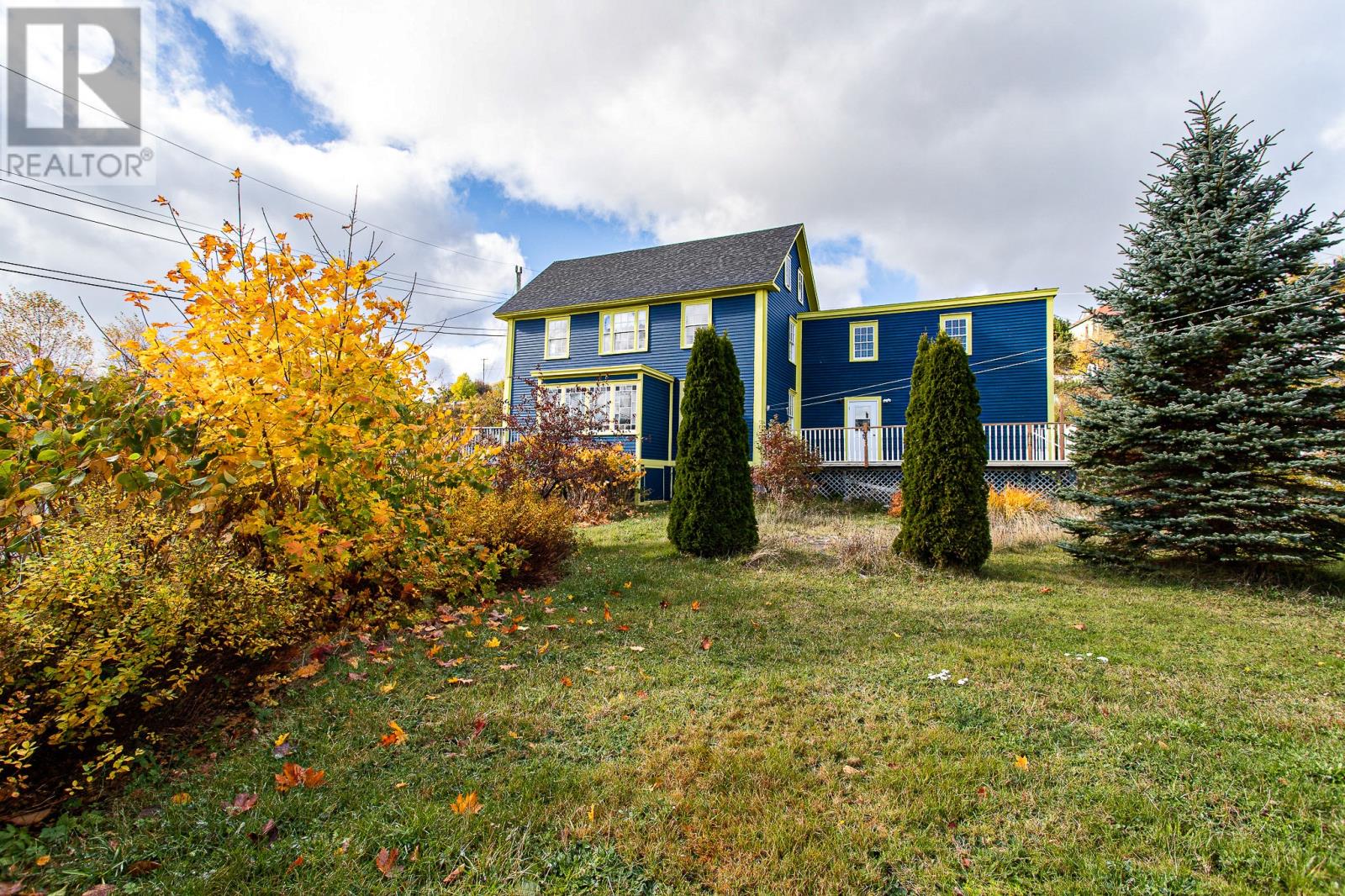 16 Gallivan's Lane, Trinity, Newfoundland & Labrador  A0C 2S0 - Photo 43 - 1293164