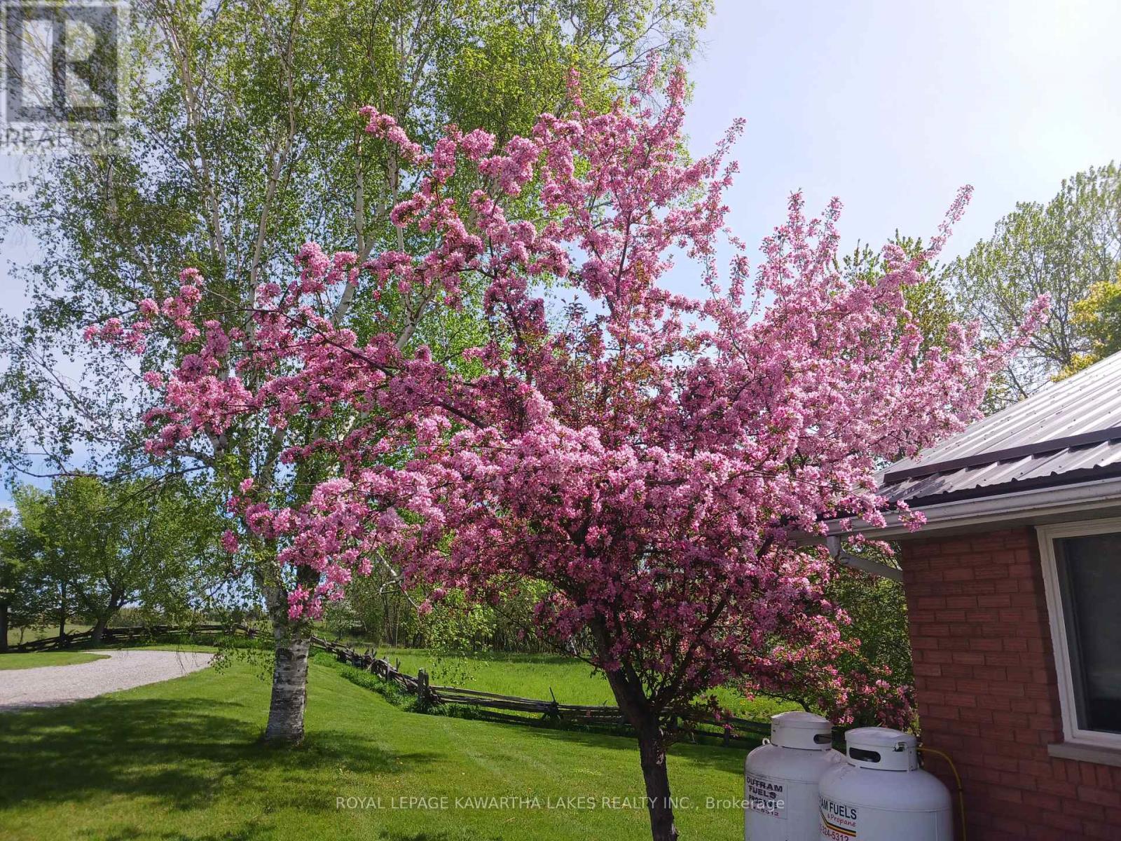 1 Bridle Road, Kawartha Lakes, Ontario  K9V 4R2 - Photo 50 - X12590478