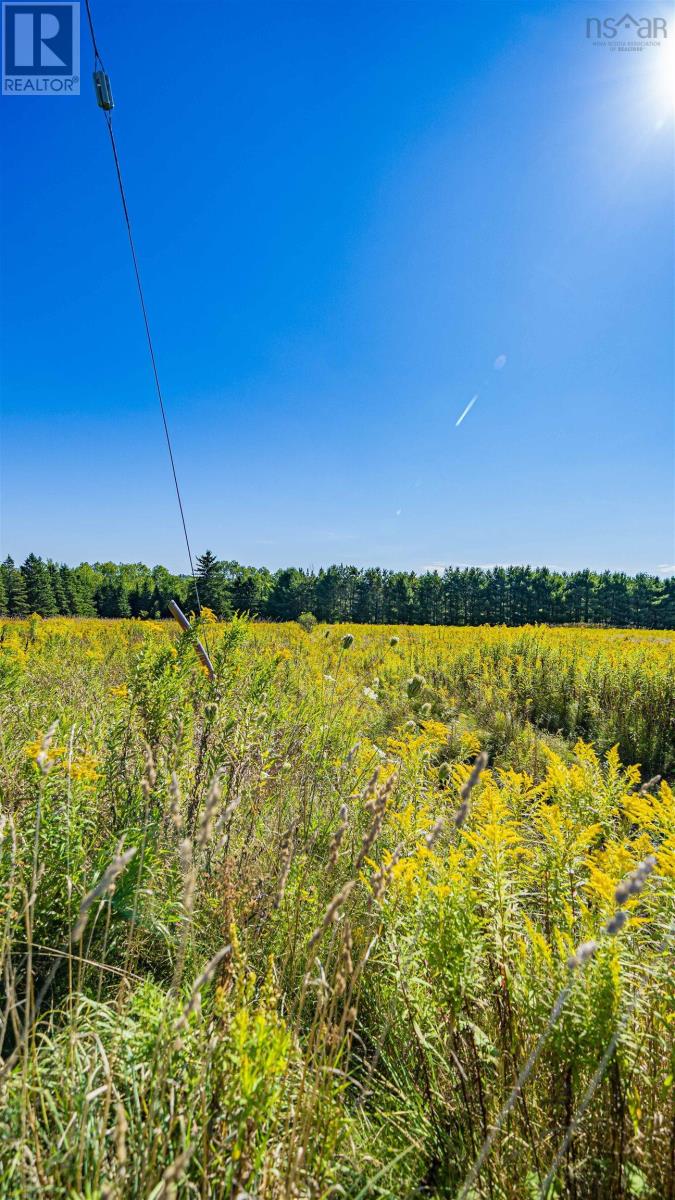 402 Johnson Road, Coldstream, Nova Scotia  B0N 2J0 - Photo 43 - 202521792