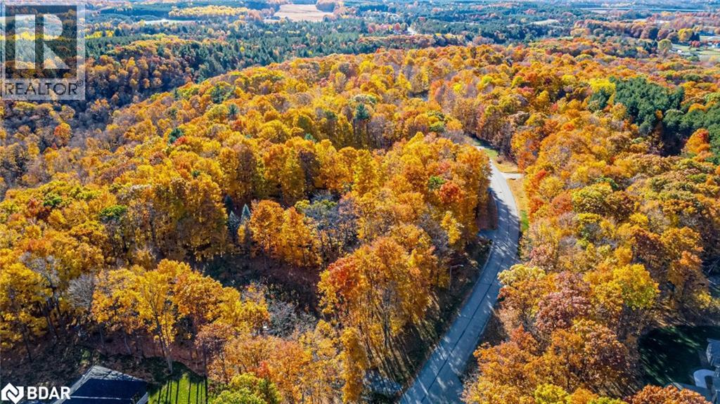 17 Maple Ridge Rd, Oro-Medonte, Ontario  L0L 2L0 - Photo 2 - 40793666