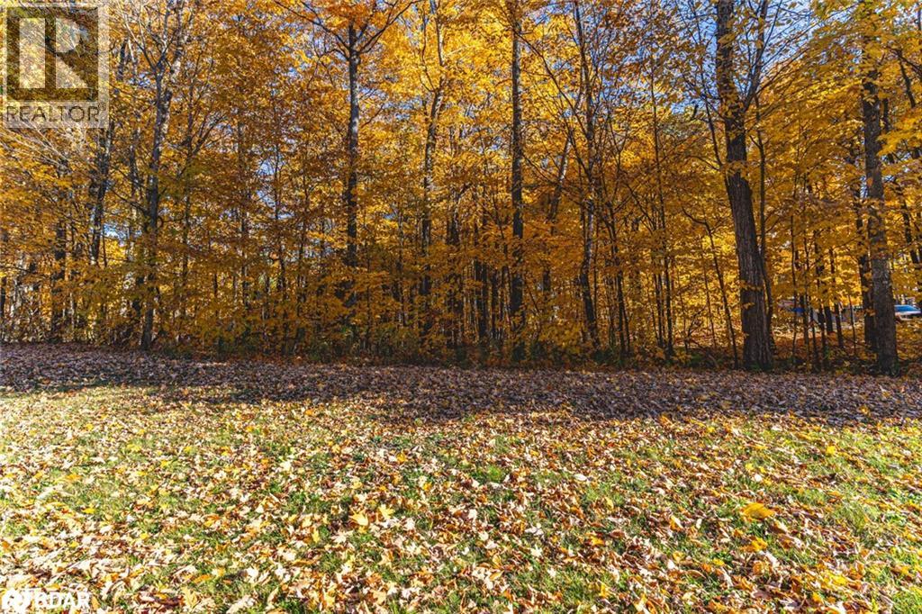 17 Maple Ridge Rd, Oro-Medonte, Ontario  L0L 2L0 - Photo 3 - 40793666