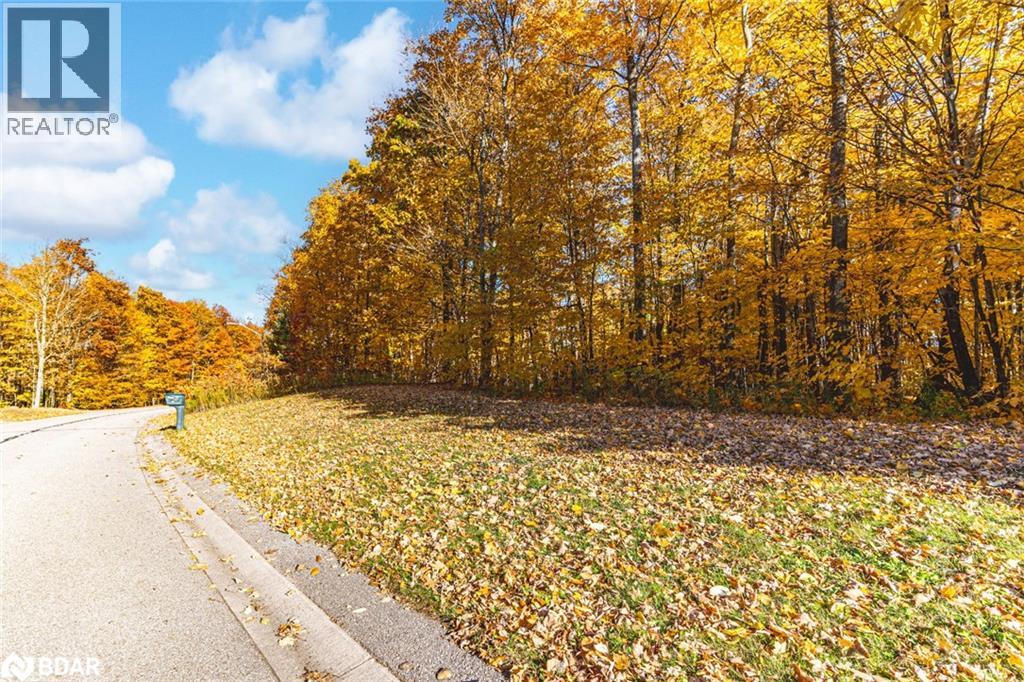 17 Maple Ridge Rd, Oro-Medonte, Ontario  L0L 2L0 - Photo 4 - 40793666
