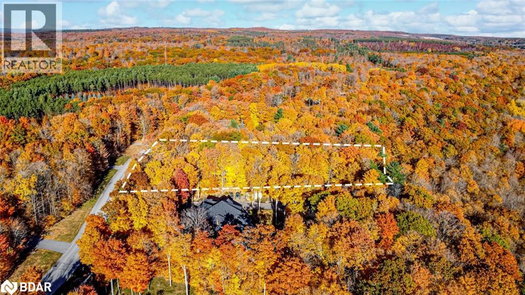 17 Maple Ridge Rd, Oro-Medonte, Ontario  L0L 2L0 - Photo 5 - 40793666
