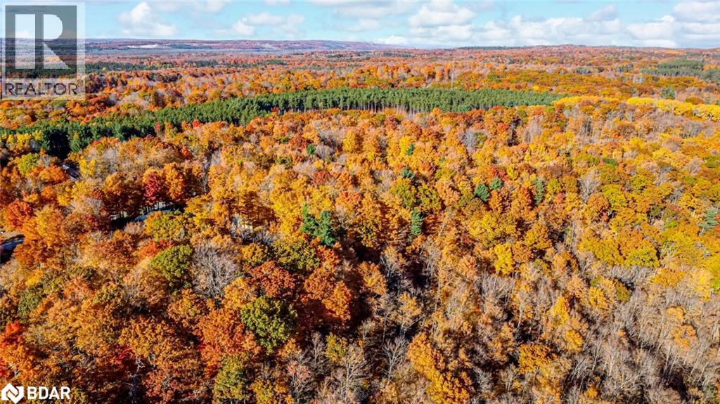 17 Maple Ridge Rd, Oro-Medonte, Ontario  L0L 2L0 - Photo 6 - 40793666