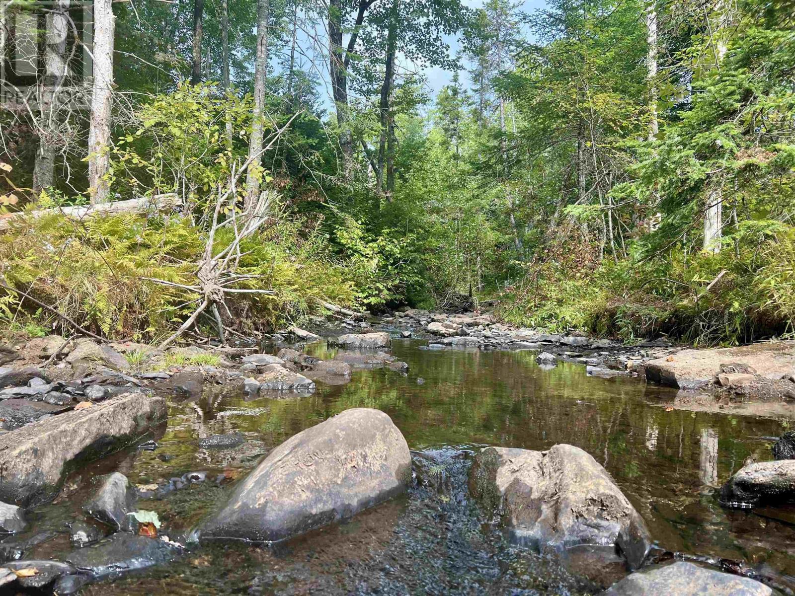 Lot 6 Greenfield Road, Greenfield, Nova Scotia  B0P 1X0 - Photo 7 - 202523234