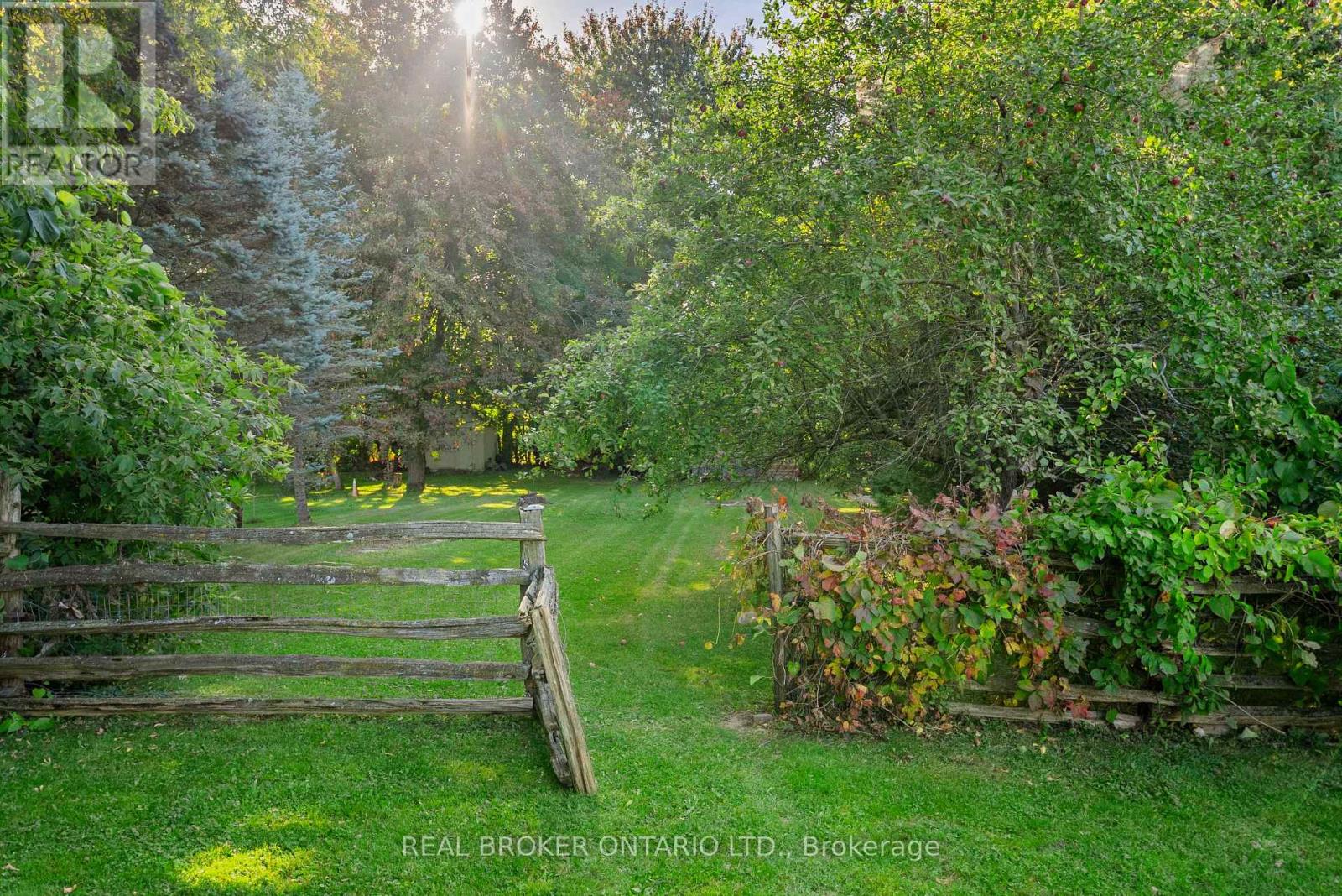 118 Patterson Street N, New Tecumseth (Beeton), Ontario  L0G 1A0 - Photo 29 - N12629322