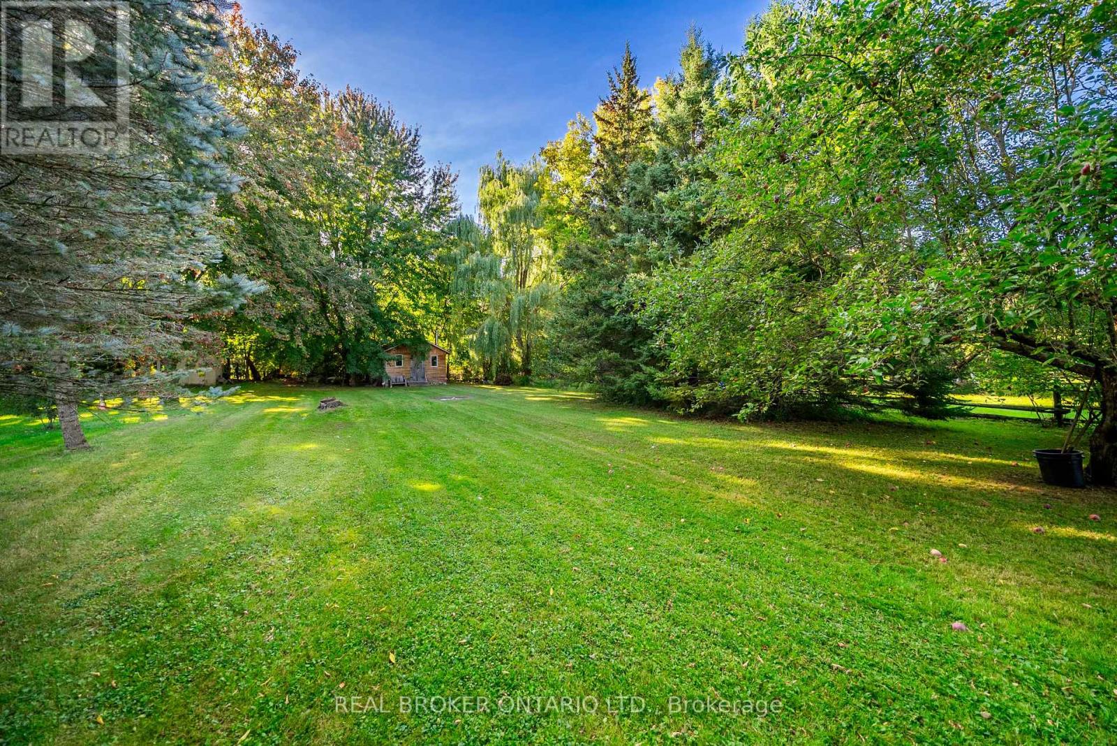 118 Patterson Street N, New Tecumseth (Beeton), Ontario  L0G 1A0 - Photo 30 - N12629322