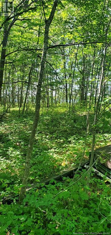 Lot Cox Point Road, Cumberland Bay, New Brunswick E4A 2Y5 - Photo 7 - NB112479