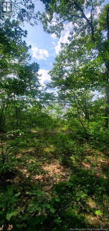 Lot Cox Point Road, Cumberland Bay, New Brunswick E4A 2Y5 - Photo 11 - NB112479
