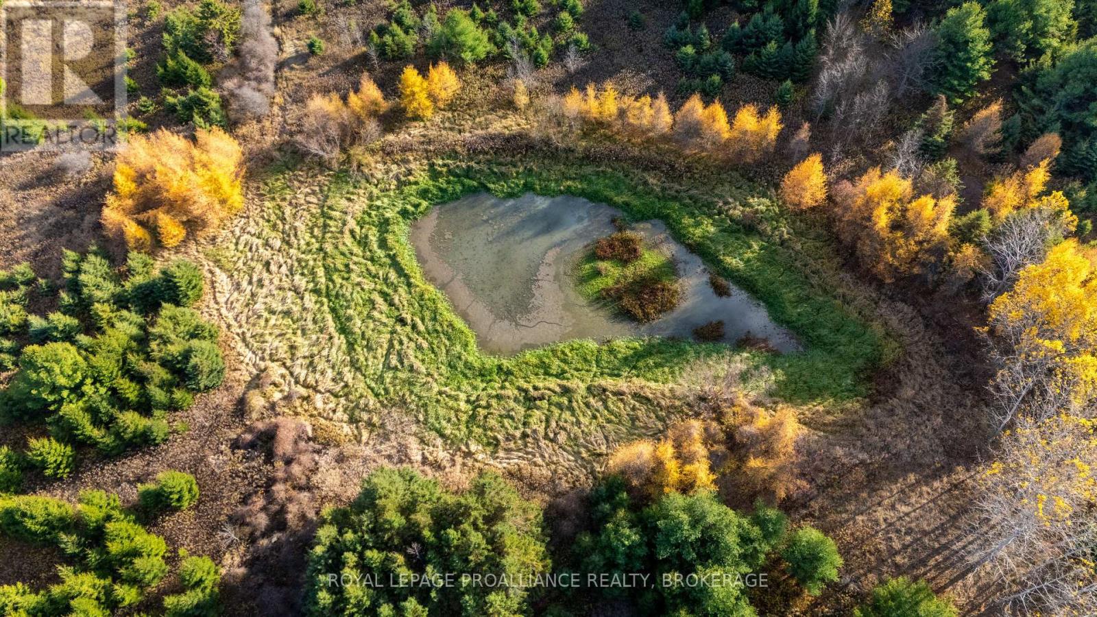 Pt Lt 18-19 Front Road, Frontenac Islands, Ontario K0H 2S0 - Photo 15 - X12629608