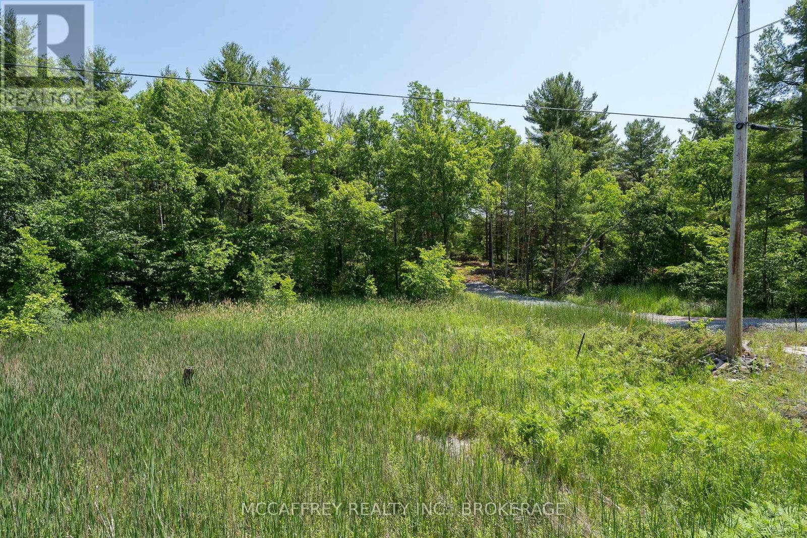 9804 Highway 38, Frontenac (Frontenac Centre), Ontario  K0H 1T0 - Photo 4 - X12425892