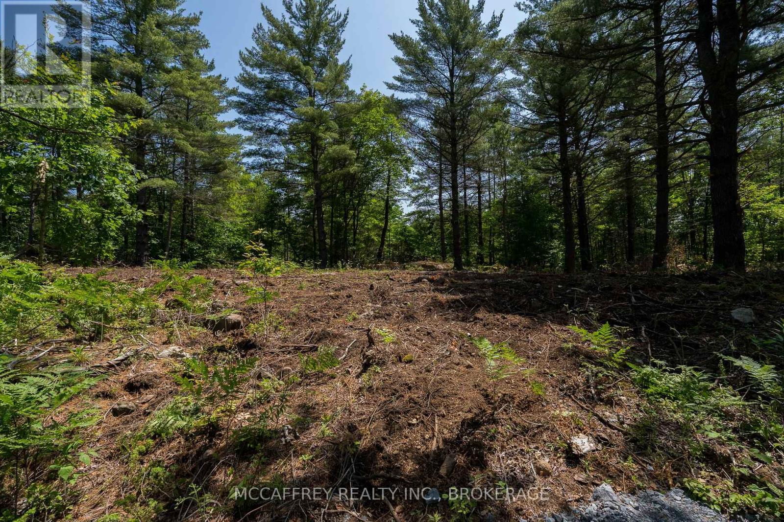 9804 Highway 38, Frontenac (Frontenac Centre), Ontario  K0H 1T0 - Photo 7 - X12425892