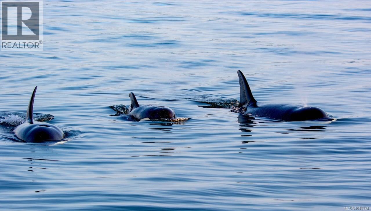 2851 Whiskey Point Rd, Mill Bay, British Columbia V0R 2P2 - Photo 98 - 1018324