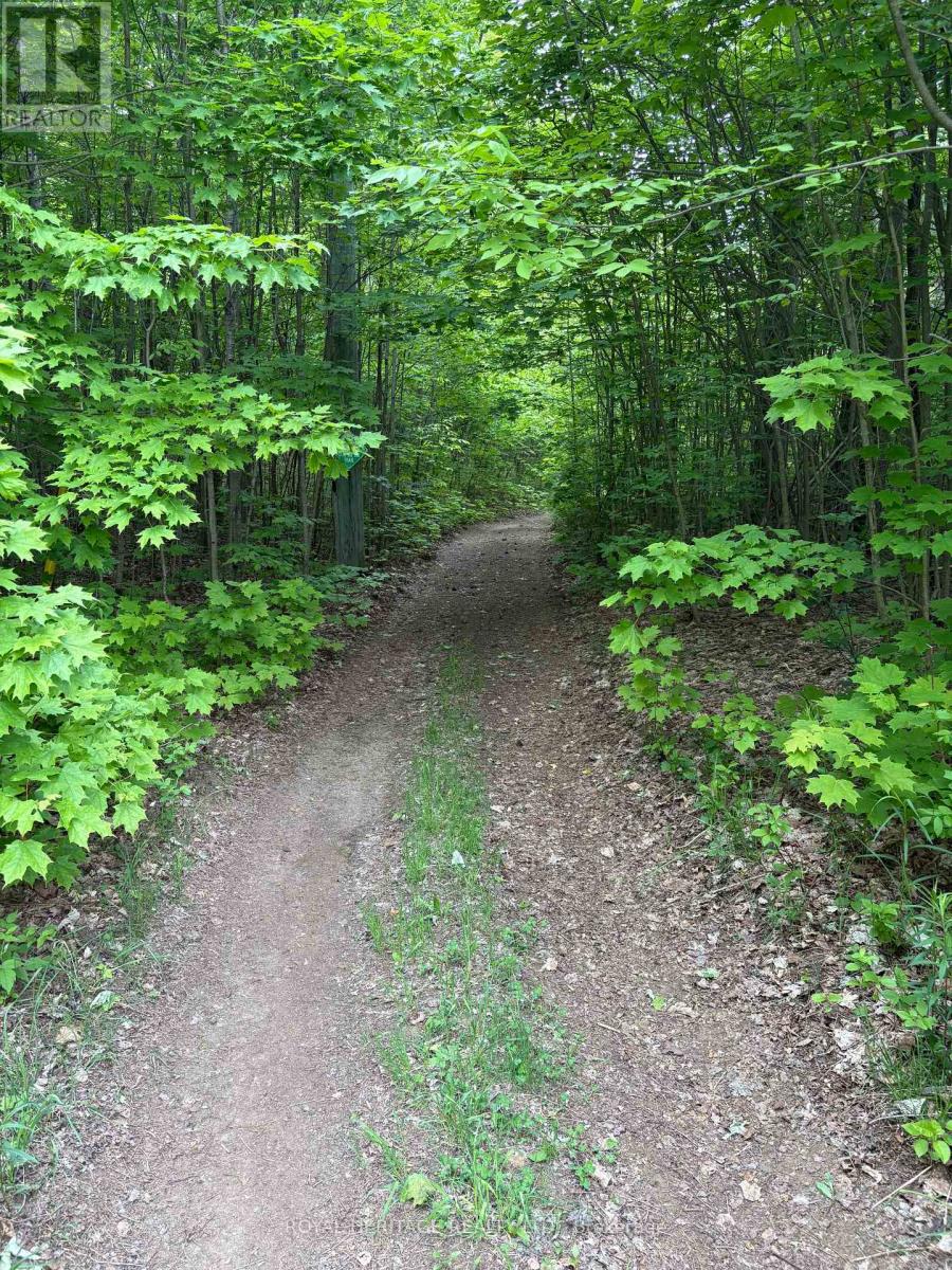 1043 LAWRENCE PIT ROAD, Muskoka Lakes, Ontario