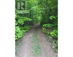 1043 LAWRENCE PIT ROAD, Muskoka Lakes, Ontario