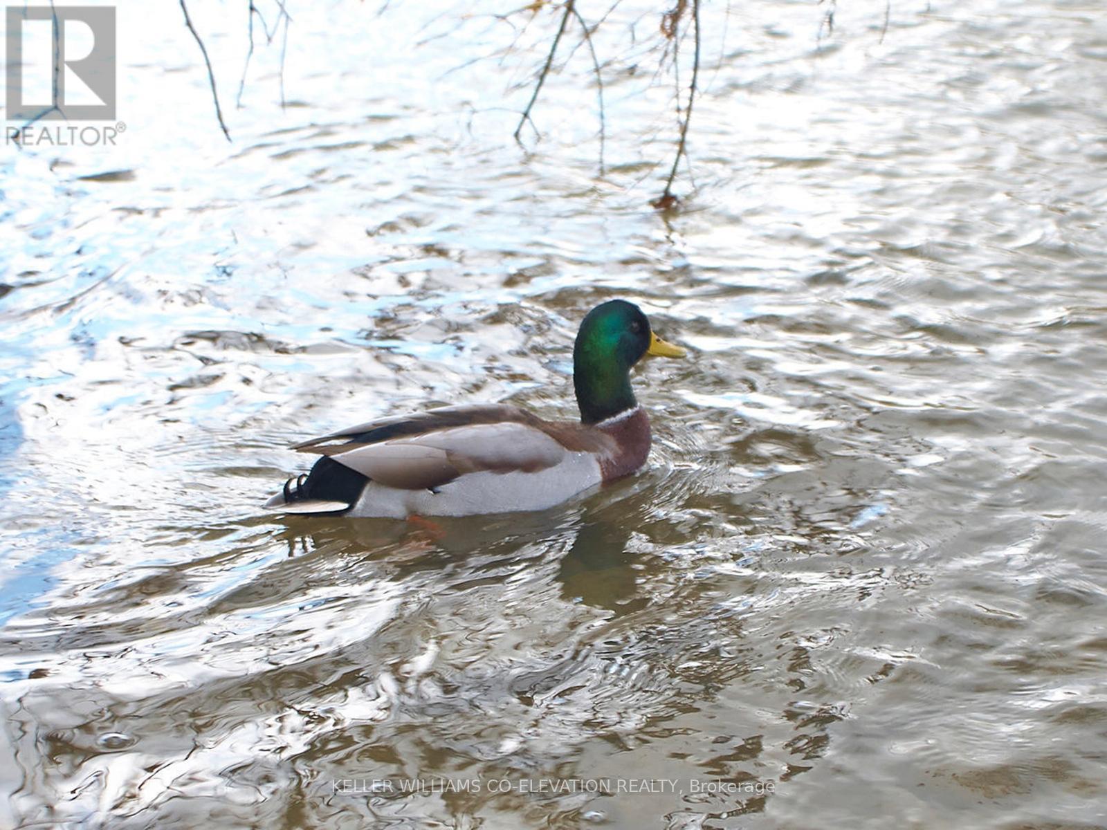 709 - 240 Scarlett Road, Toronto (Rockcliffe-Smythe), Ontario  M6N 4X4 - Photo 40 - W12629676