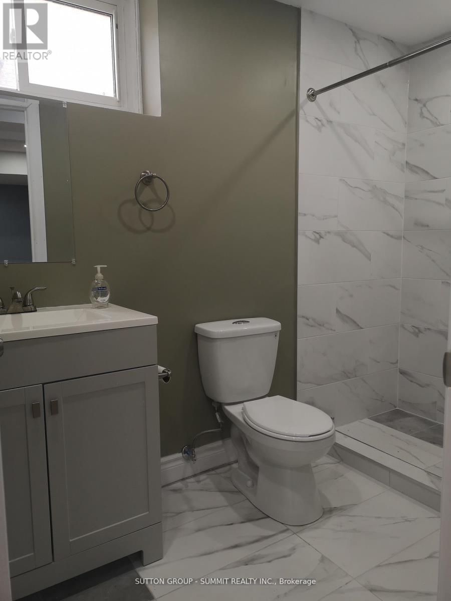 Lower Level - 46 Sharon Court, Brampton (Brampton East), Ontario  L6W 3B7 - Photo 8 - W12629770