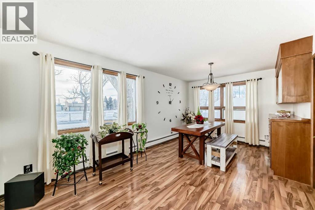 207 6a Avenue, Three Hills, Alberta  T0M 2A0 - Photo 12 - A2273415