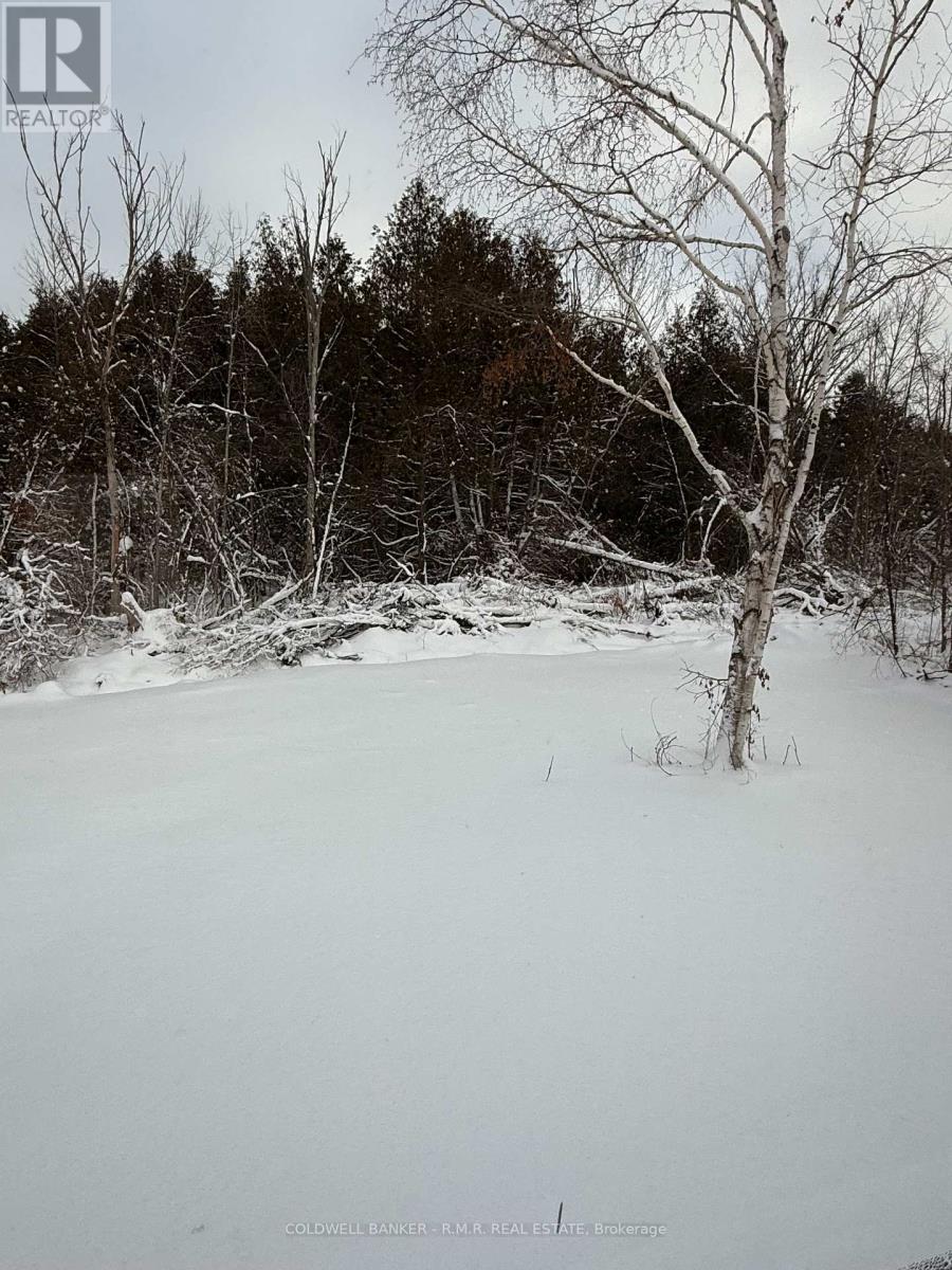 23 Blythe Shore Road, Kawartha Lakes (Fenelon), Ontario  K0M 1N0 - Photo 17 - X12630092