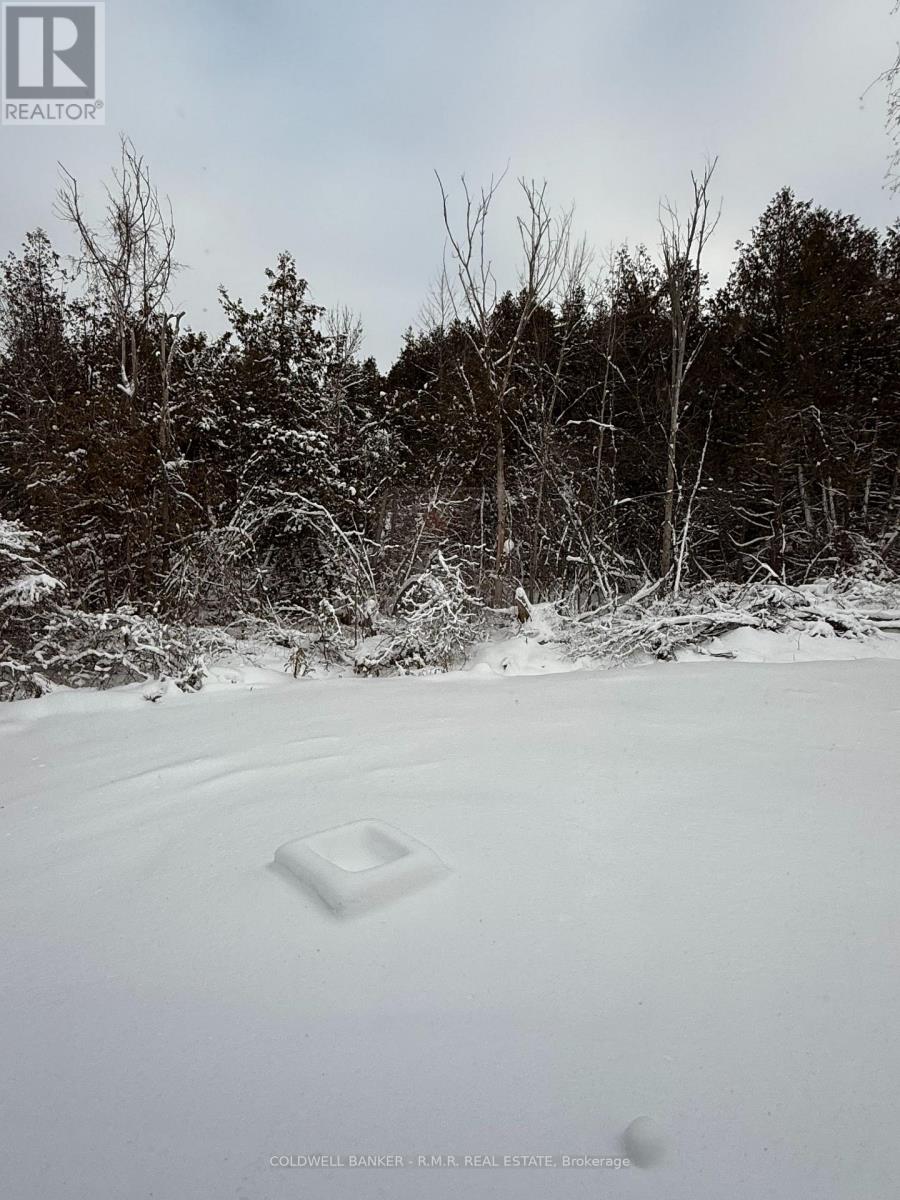 23 Blythe Shore Road, Kawartha Lakes (Fenelon), Ontario  K0M 1N0 - Photo 18 - X12630092