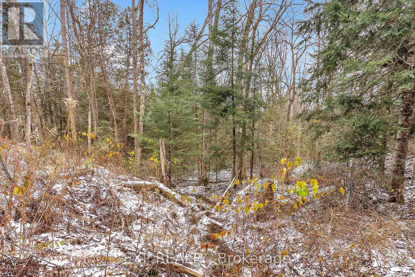 0 Thunder Lane, Frontenac, Ontario  K0H 1B0 - Photo 6 - X12613264