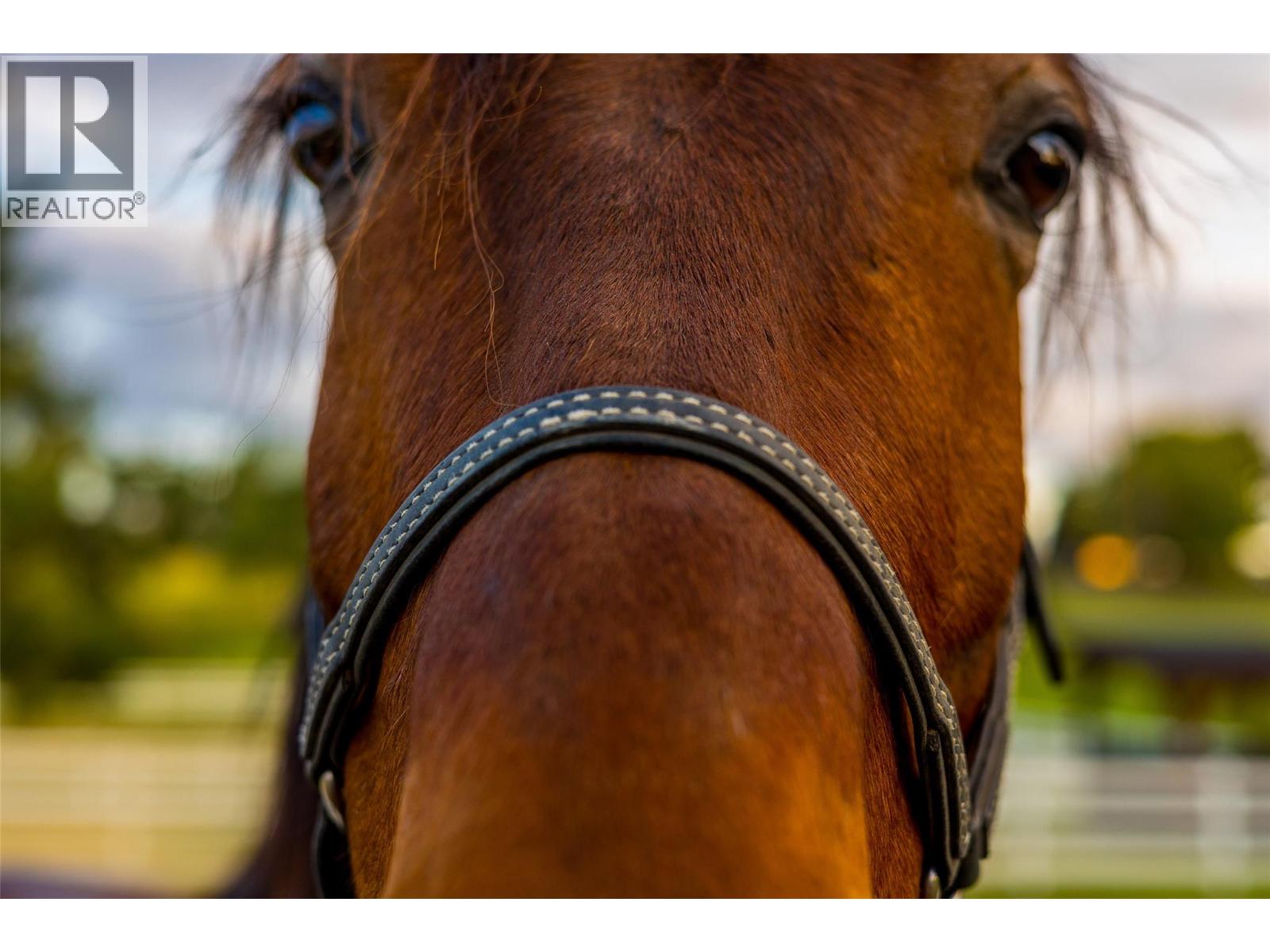 2375 Grantham Road Kelowna, BC V1W4B7_79