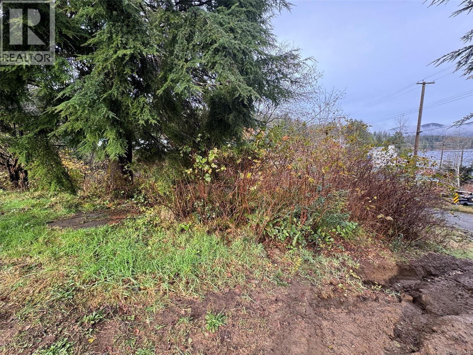 B129 Winter Harbour Rd, Winter Harbour, British Columbia  V0N 3L0 - Photo 5 - 1020431