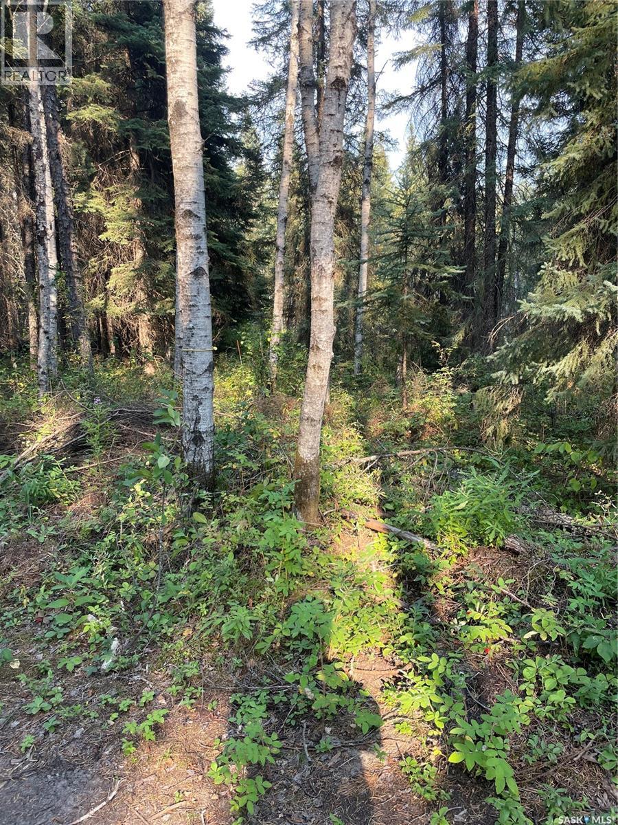 5.22 acre lot, Hudson Bay Rm No. 394, Saskatchewan