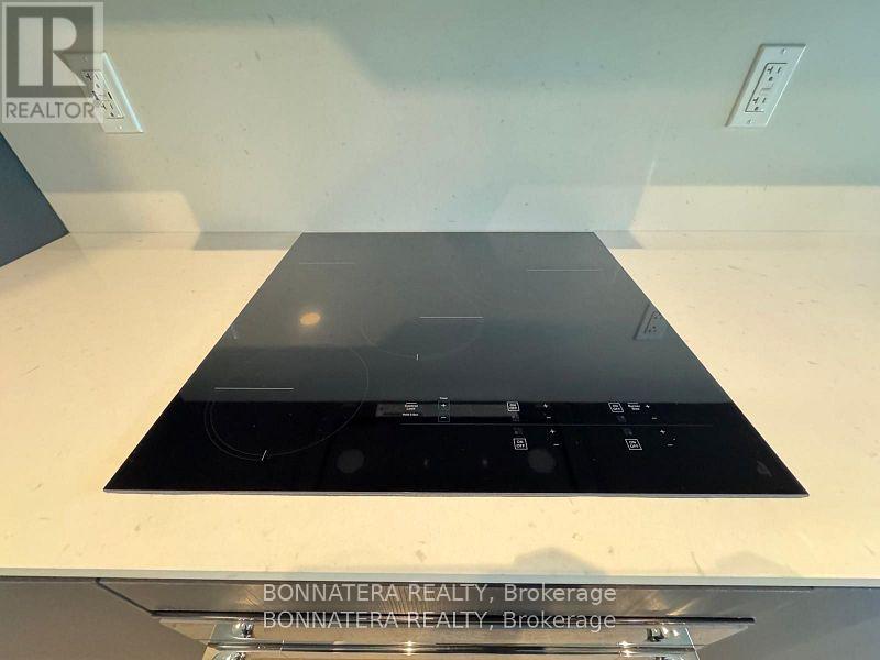 1308 - 327 King Street W, Toronto (Waterfront Communities), Ontario  M5V 0W7 - Photo 10 - C12630198