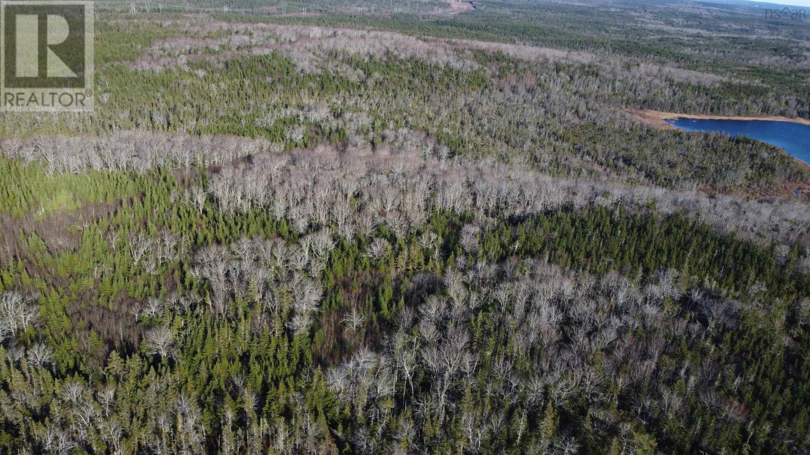 Salmon River Road, Salmon River, Nova Scotia  B0E 3B0 - Photo 10 - 202521603