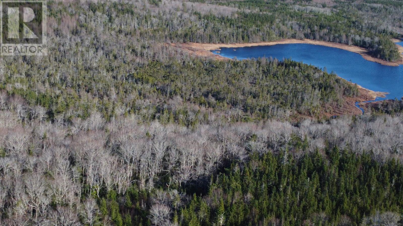 Salmon River Road, Salmon River, Nova Scotia  B0E 3B0 - Photo 3 - 202521603