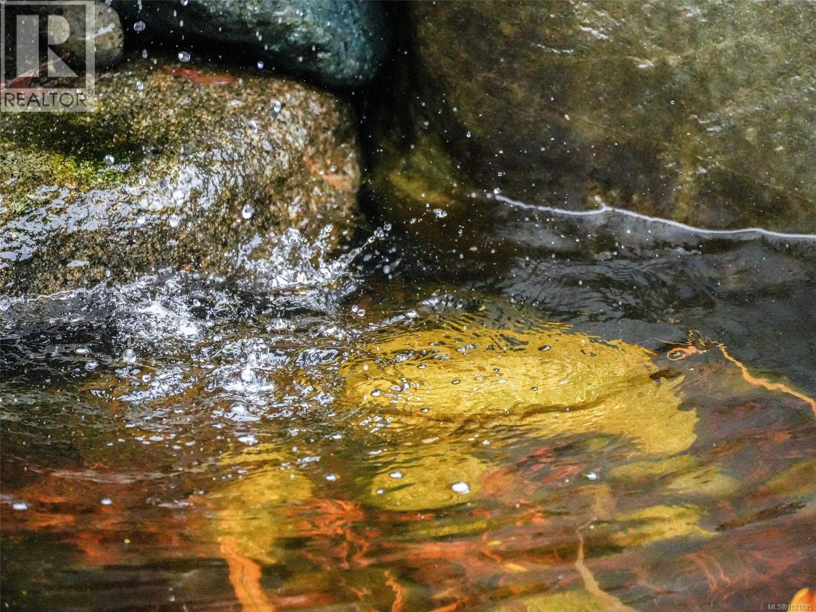 25 1286 Tolmie Ave, Saanich, British Columbia V8P 1E3 - Photo 42 - 1021885