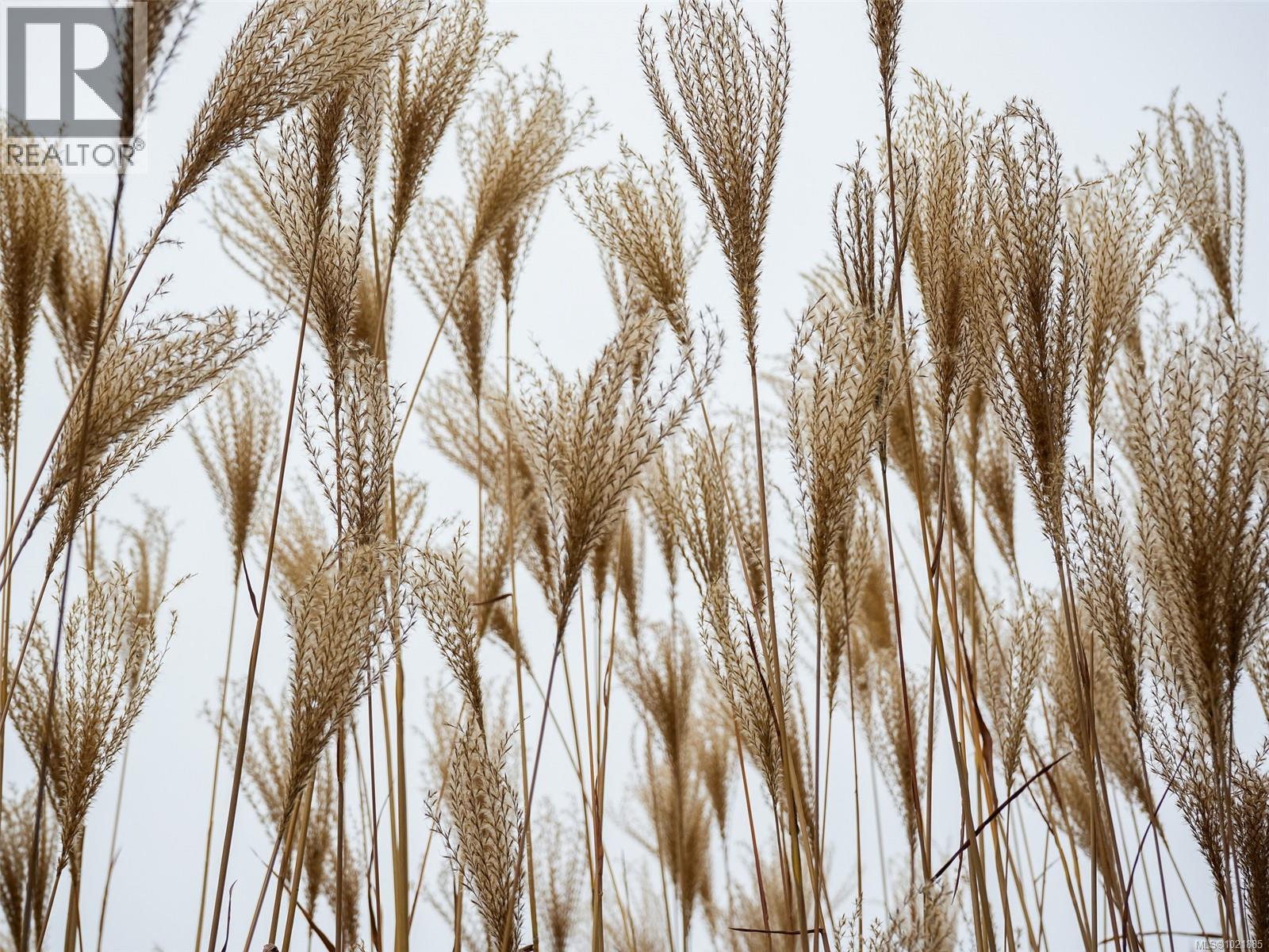 25 1286 Tolmie Ave, Saanich, British Columbia V8P 1E3 - Photo 44 - 1021885