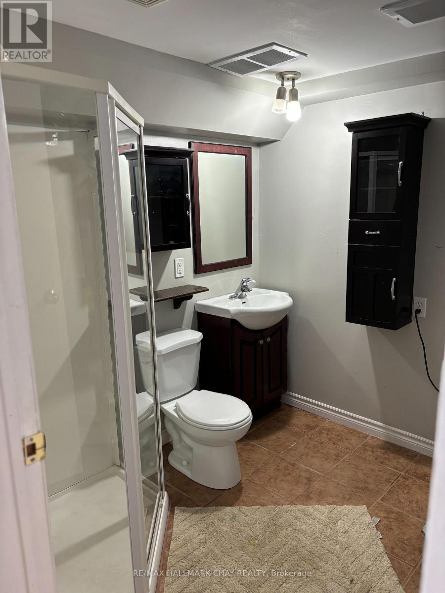 439 Peter Street N, Orillia, Ontario  L3V 5A6 - Photo 17 - S12630356