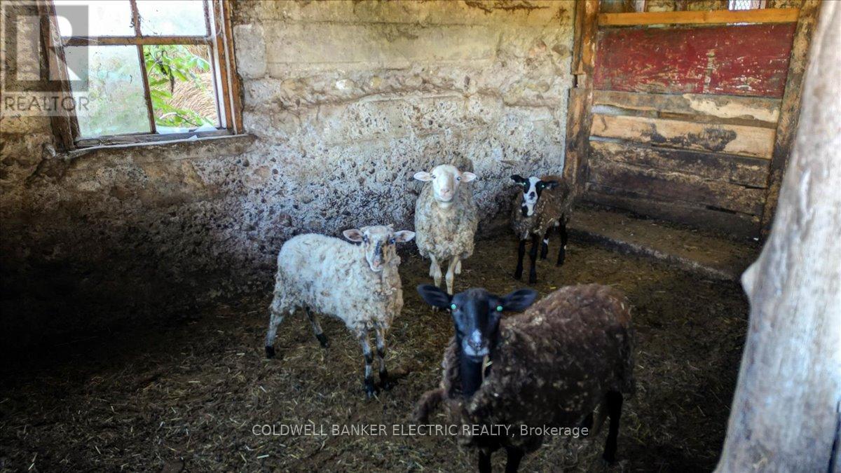 450 Thomasburg Road, Centre Hastings, Ontario  K0K 3H0 - Photo 42 - X12630440