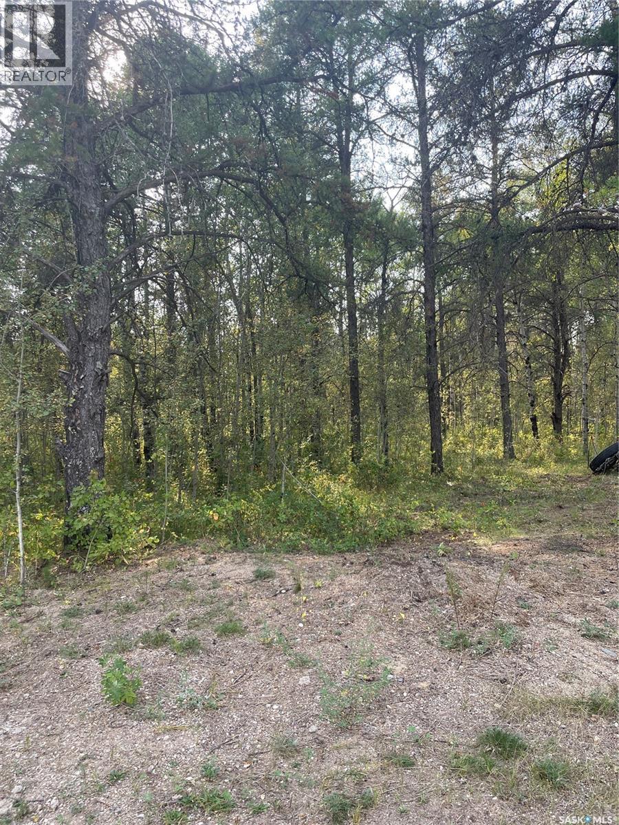 Starter Acreage, Hudson Bay Rm No. 394, Saskatchewan  S0E 0Y0 - Photo 15 - SK025582