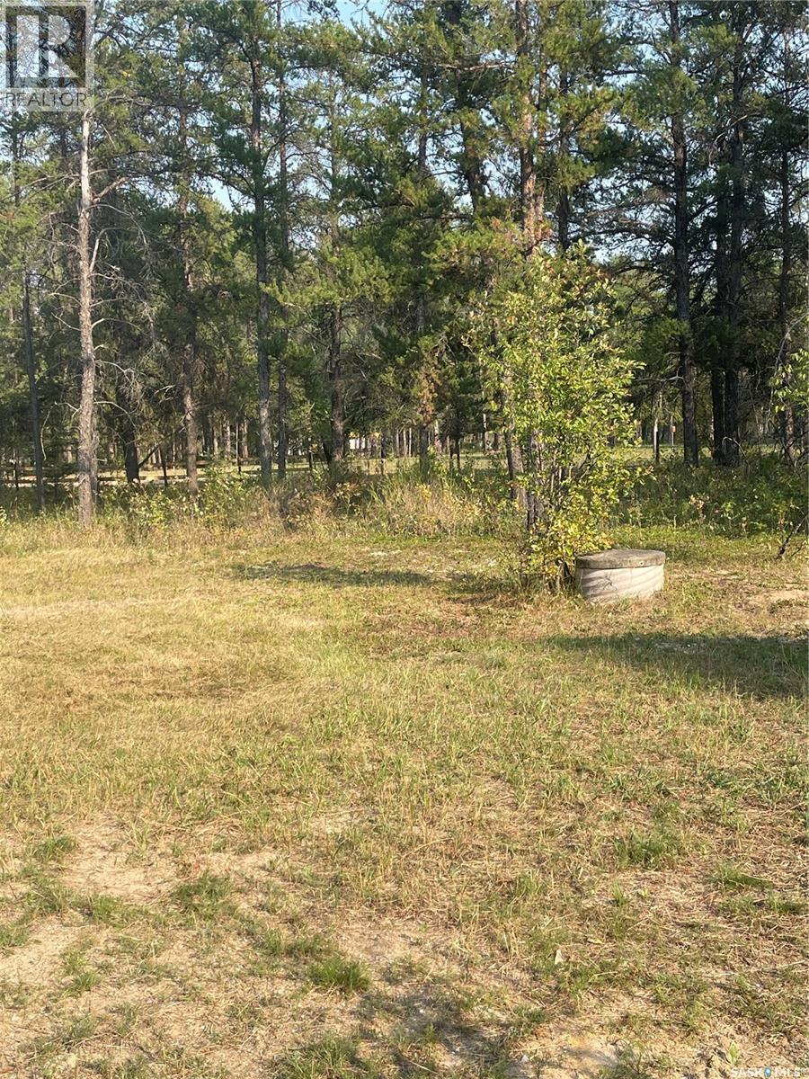 Starter Acreage, Hudson Bay Rm No. 394, Saskatchewan  S0E 0Y0 - Photo 6 - SK025582
