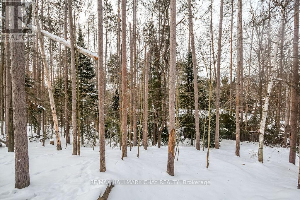 1 Pine Spring Road, Oro-Medonte (Horseshoe Valley), Ontario  L4M 4Y8 - Photo 32 - S12630492