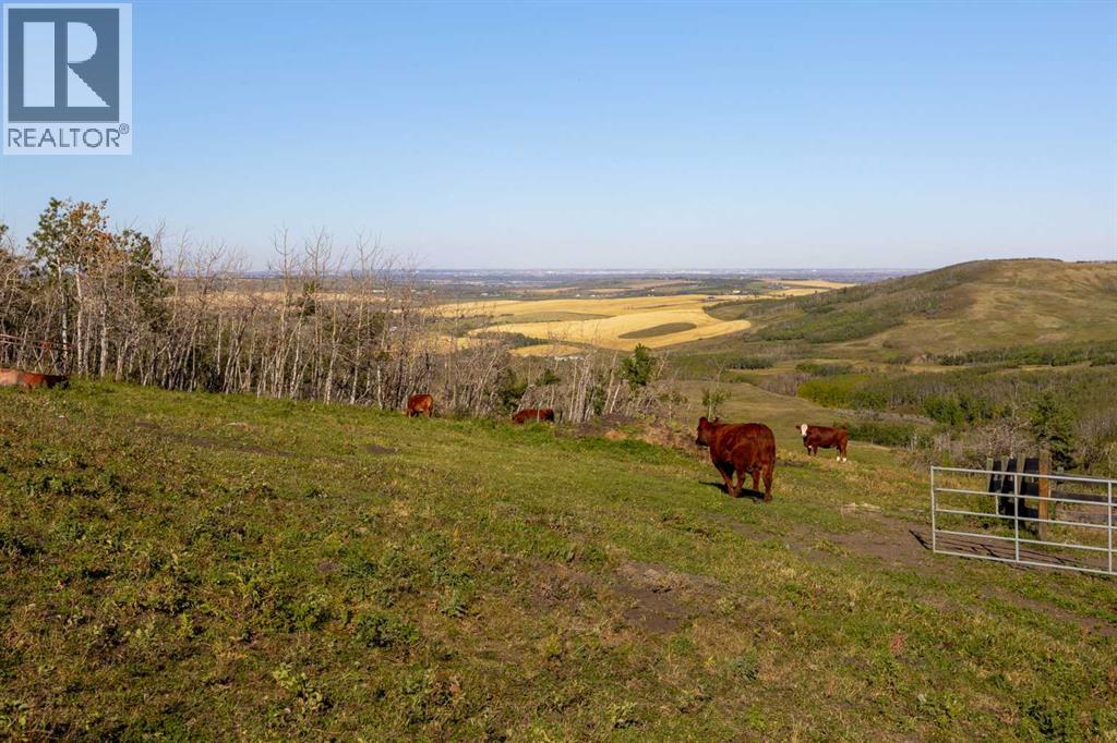 290254 96 Street W, Rural Foothills County, Alberta  T1S 0V2 - Photo 14 - A2262856