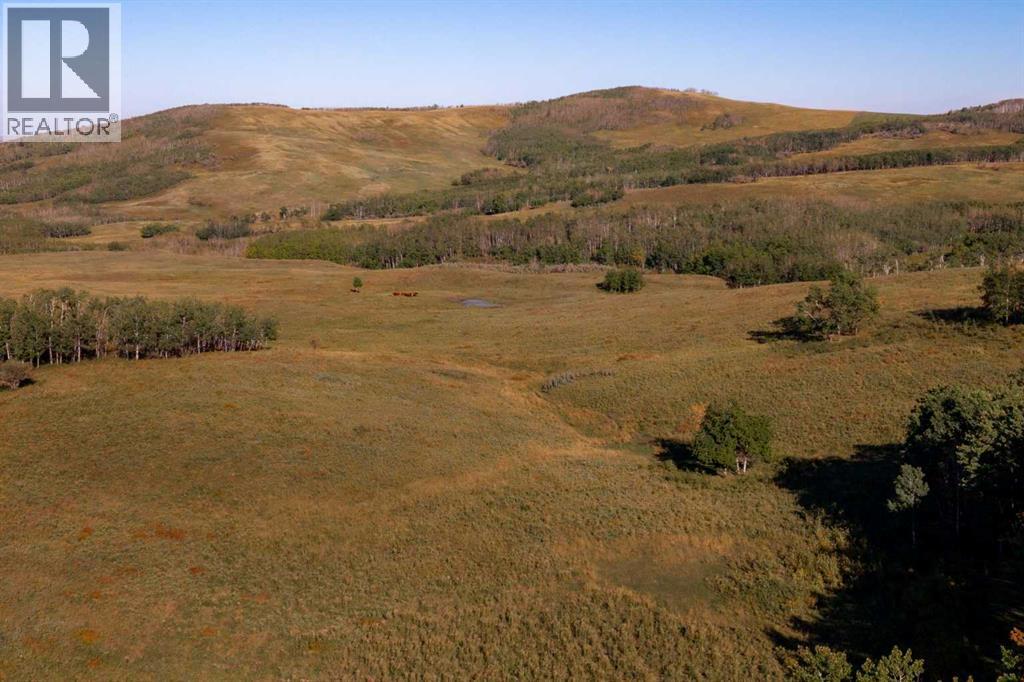 290254 96 Street W, Rural Foothills County, Alberta  T1S 0V2 - Photo 15 - A2262856