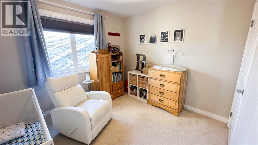 211 11 Avenue Ne, Sundre, Alberta  T0M 1X0 - Photo 19 - A2267286