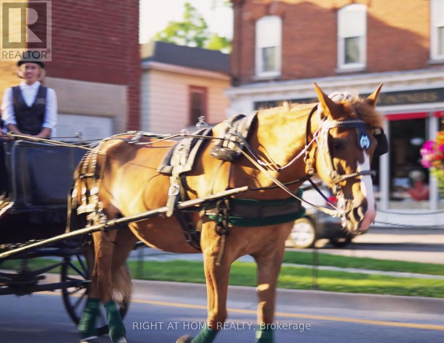 507 Mississagua Street, Niagara-On-The-Lake (Town), Ontario  L0S 1J0 - Photo 7 - X12630736