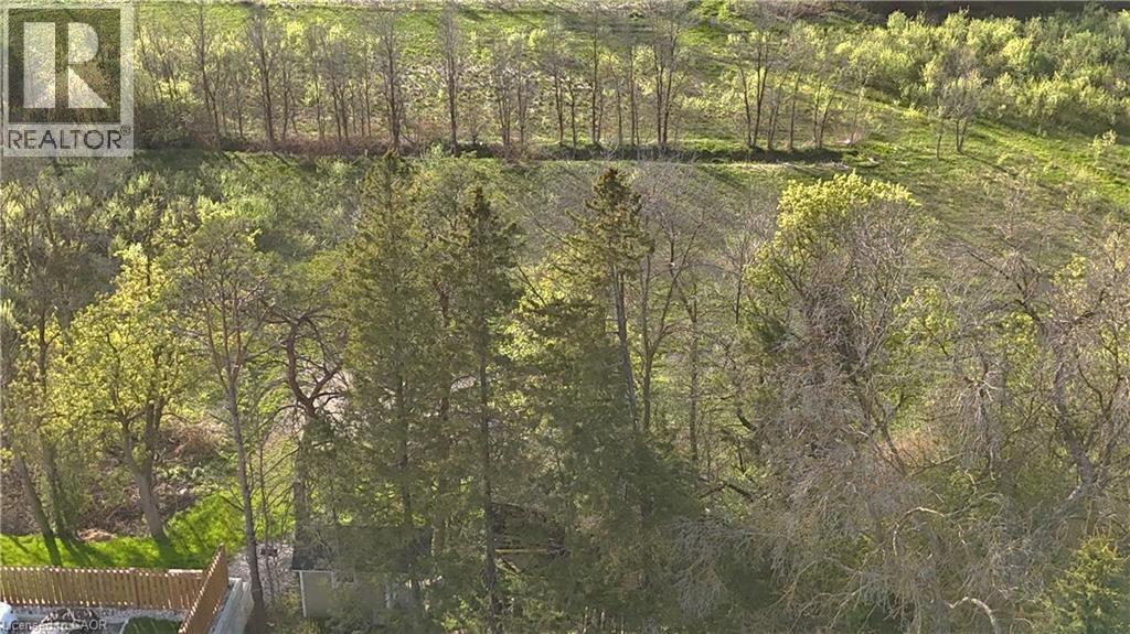 425 Wellington Street E, Mount Forest, Ontario  N0G 2L2 - Photo 13 - 40793764