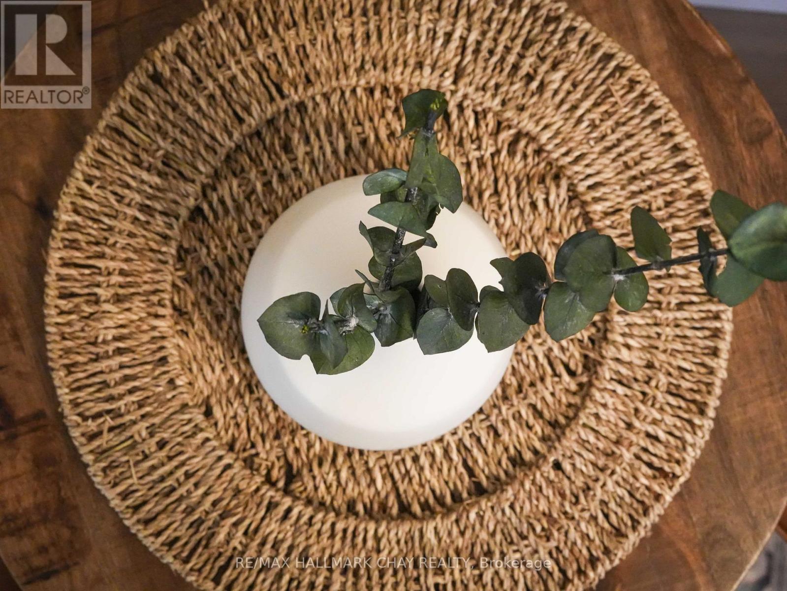 160 Nelson Street E, New Tecumseth, Ontario  L9R 1G4 - Photo 9 - N12581510